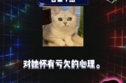 娱乐吃瓜live,揭秘娱乐圈幕后故事