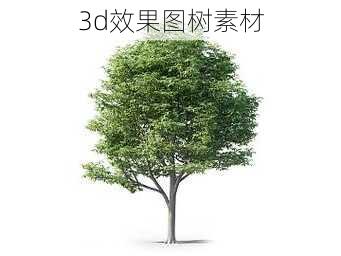 3d效果图树素材