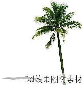 3d效果图树素材-第2张图片-装修知识网