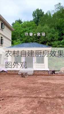 农村自建厨房效果图外观